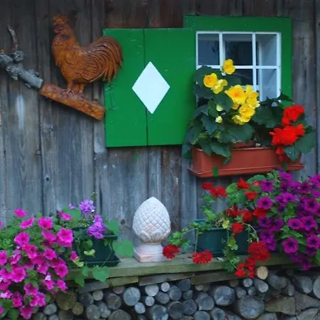 Bio Bauernhof Maurerwolferl *