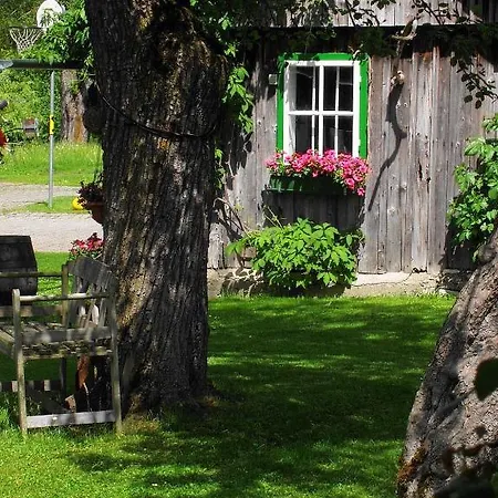 Bio Bauernhof Maurerwolferl Farm stay