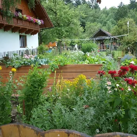 Bio Bauernhof Maurerwolferl *