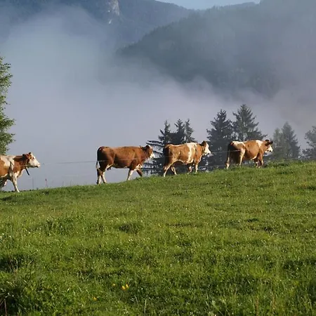 Bio Bauernhof Maurerwolferl *