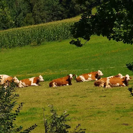 Bio Bauernhof Maurerwolferl